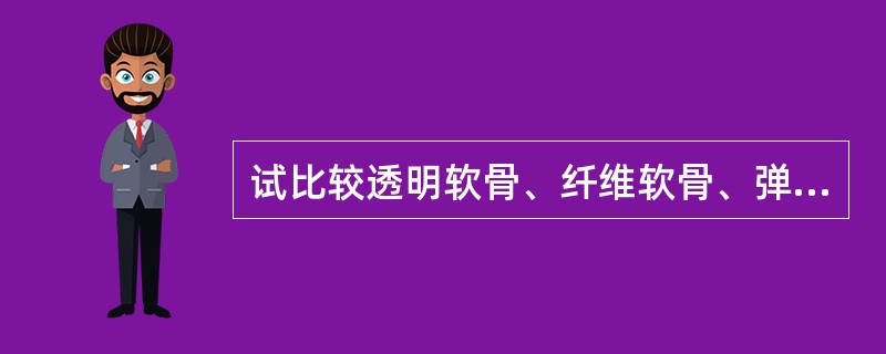 试比较透明软骨、纤维软骨、弹性软骨。