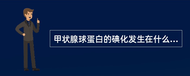 甲状腺球蛋白的碘化发生在什么部位（）。