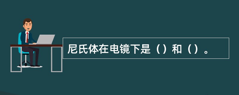 尼氏体在电镜下是（）和（）。