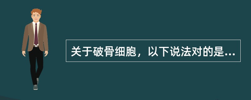 关于破骨细胞，以下说法对的是（）。