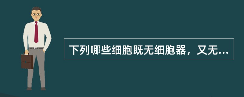 下列哪些细胞既无细胞器，又无细胞核（）。