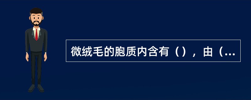 微绒毛的胞质内含有（），由（）蛋白构成，与微绒毛（）有关。