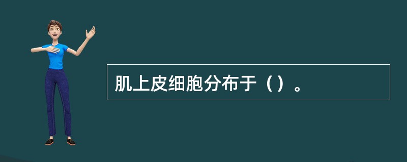 肌上皮细胞分布于（）。