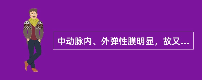 中动脉内、外弹性膜明显，故又称弹性动脉。（）