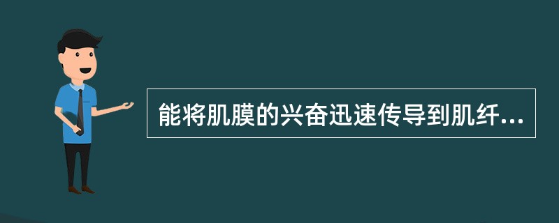 能将肌膜的兴奋迅速传导到肌纤维内部的结构是（）；肌浆网是肌纤维中特化的（）。