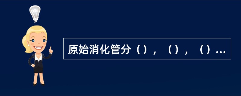 原始消化管分（），（），（）三段，前端与（）相接处有（）封闭，后端与（）相连处以