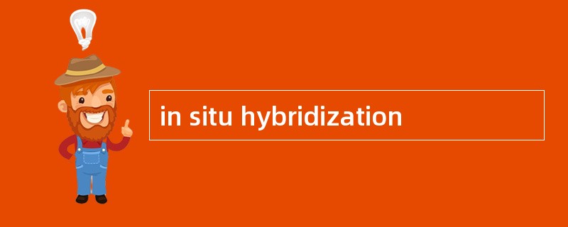 in situ hybridization