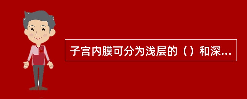 子宫内膜可分为浅层的（）和深层的（），前者发生周期性的剥落出血，形成（）。