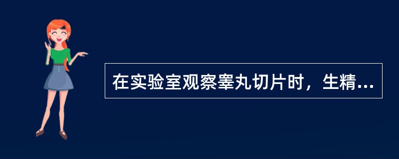 在实验室观察睾丸切片时，生精小管内最不易见到的细胞是：（）。