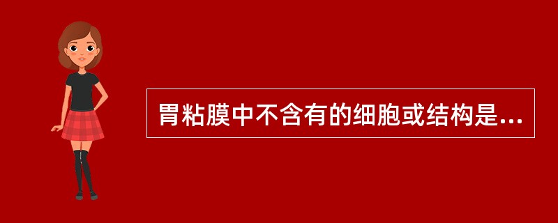 胃粘膜中不含有的细胞或结构是：（）。