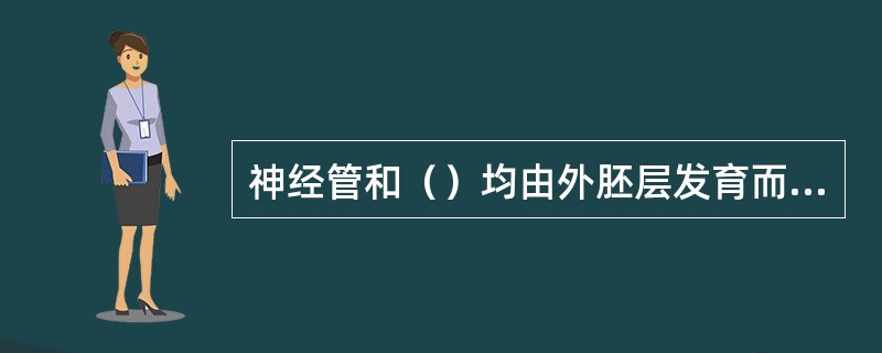 神经管和（）均由外胚层发育而来。