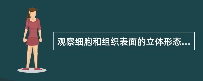 观察细胞和组织表面的立体形态，应使用（）技术。