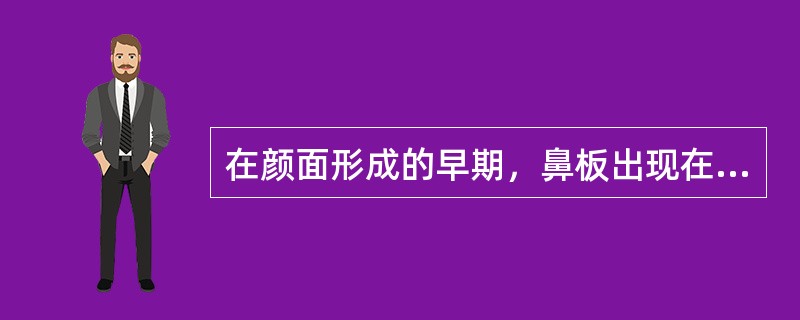 在颜面形成的早期，鼻板出现在（）。