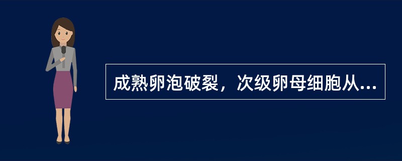 成熟卵泡破裂，次级卵母细胞从卵巢排出的过程称（）。排出物包括（）、（）、（）和（