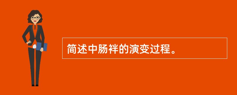 简述中肠袢的演变过程。