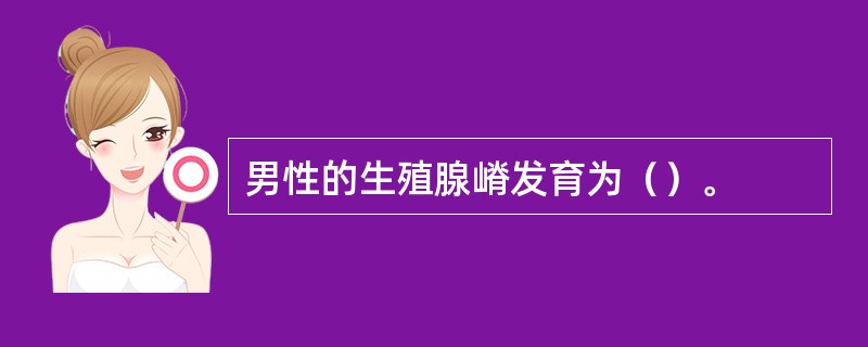 男性的生殖腺嵴发育为（）。