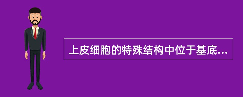 上皮细胞的特殊结构中位于基底面的有（）、（）、（）。