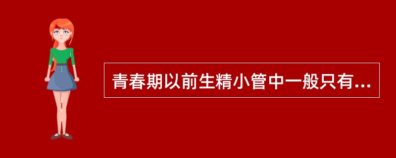 青春期以前生精小管中一般只有（）。