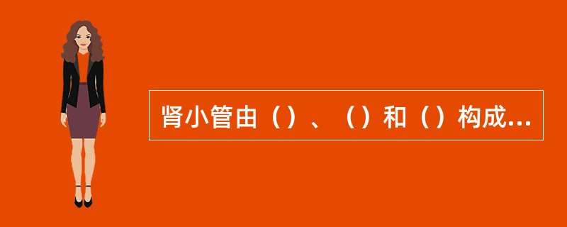 肾小管由（）、（）和（）构成，前两者有（）和（）的功能，后者有利于水和离子通透。