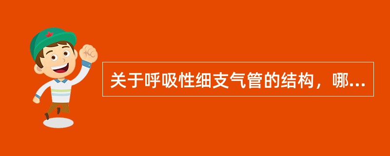 关于呼吸性细支气管的结构，哪项正确？（）