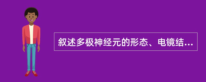 叙述多极神经元的形态、电镜结构及其功能。