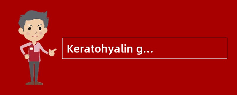 Keratohyalin granule存在于表皮的（）。