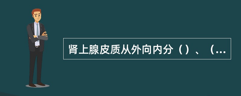 肾上腺皮质从外向内分（）、（）、（）三带，分别分泌（）、（）、（）。