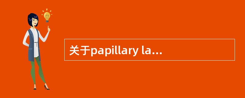 关于papillary layer错误的描述的（）。