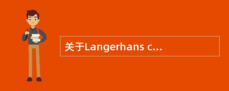 关于Langerhans cell，哪项错误（）。