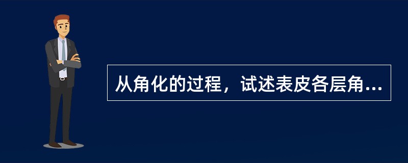 从角化的过程，试述表皮各层角质形成细胞形态结构的变化。