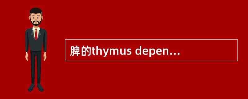 脾的thymus dependent area是（）。