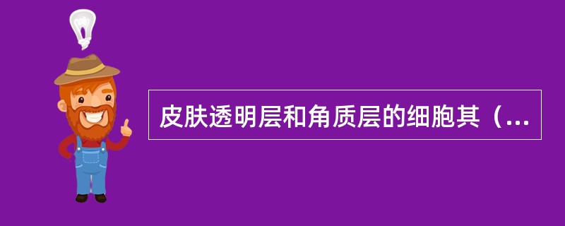 皮肤透明层和角质层的细胞其（）和（）均已消失，HE染色呈（）色。