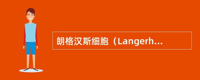 朗格汉斯细胞（Langerhanscell）不具备的功能是（）。