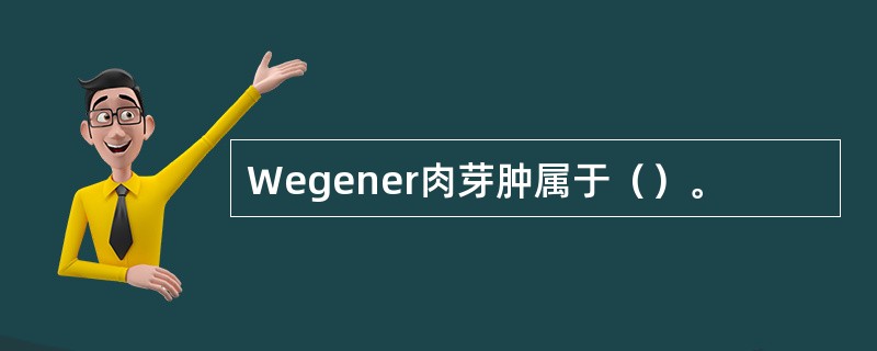Wegener肉芽肿属于（）。