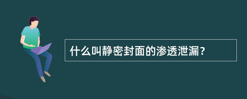 什么叫静密封面的渗透泄漏？