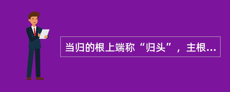 当归的根上端称“归头”，主根称“归身”，支根称“归尾”，全体称“全当归”。