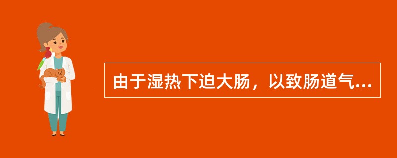 由于湿热下迫大肠，以致肠道气机不利，经络阻滞，瘀血浊气凝聚而成者是：（）