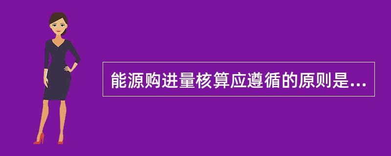 能源购进量核算应遵循的原则是（）