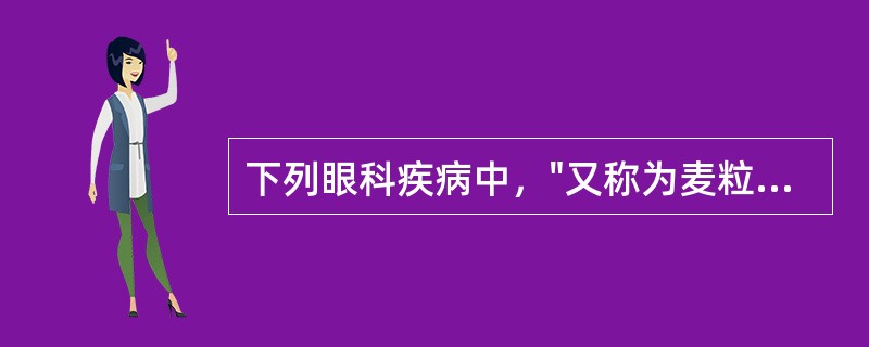 下列眼科疾病中，"又称为麦粒肿，睑缘疖"属于（）