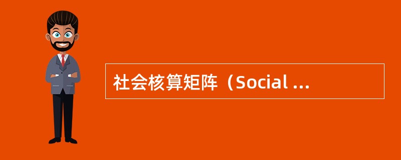 社会核算矩阵（Social Accounting Matrix，简称SAM）是以