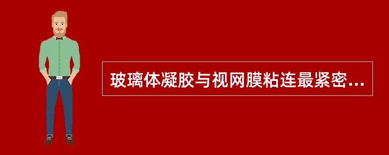 玻璃体凝胶与视网膜粘连最紧密的部分()Weiss环位于玻璃体的()玻璃体细胞多位