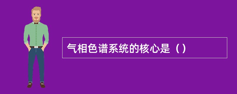 气相色谱系统的核心是（）