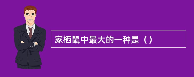 家栖鼠中最大的一种是（）
