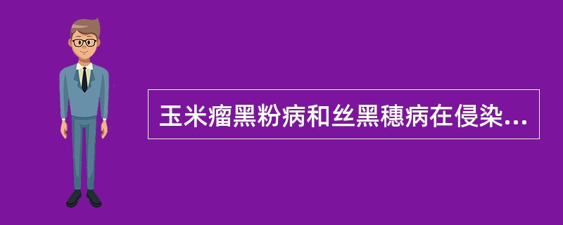 玉米瘤黑粉病和丝黑穗病在侵染循环上有何不同，如何防治？