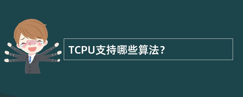 TCPU支持哪些算法？