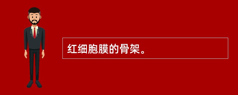 红细胞膜的骨架。