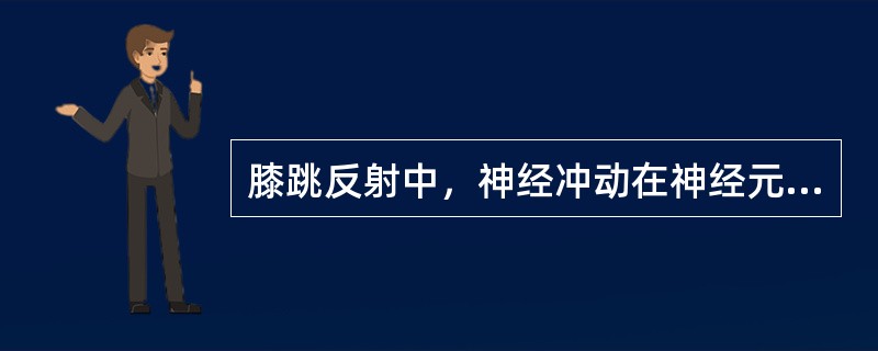 膝跳反射中，神经冲动在神经元间的传递途径是（）。