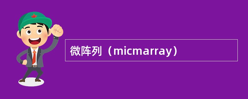 微阵列（micmarray）
