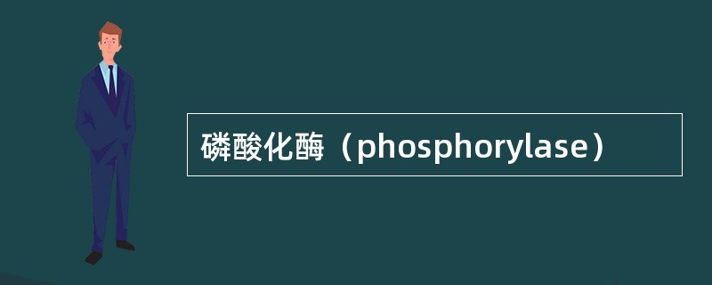磷酸化酶(phosphorylase) 磷酸化酶(phosphorylase)