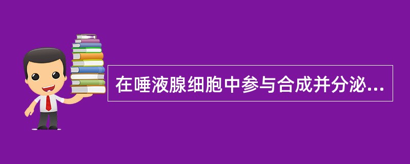 在唾液腺细胞中参与合成并分泌唾液淀粉酶的细胞器有（）